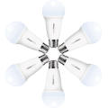 Smart CCT LED Bulb with APP